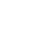 ico-reset